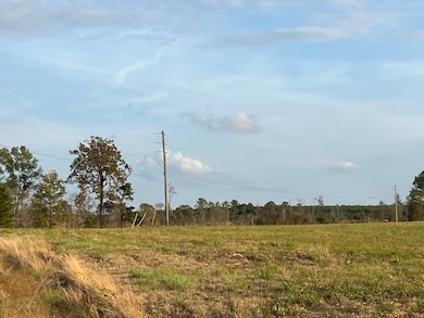 0 Pilcher Rd unit 11609601, Many, LA 71449 - photo 4