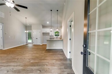 557 Grogan Rd, Buchanan, GA 30113 - photo 6