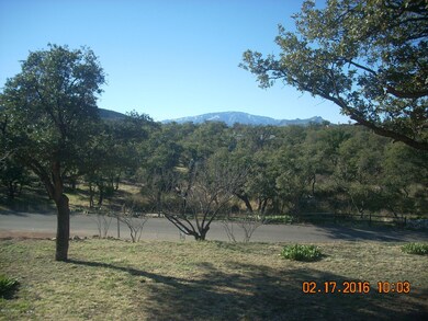 Front Yard View