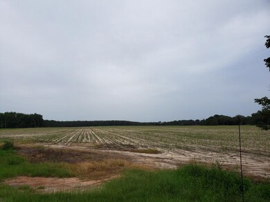 0 Futch Rd unit 118653, Adel, GA 31620 - photo 3
