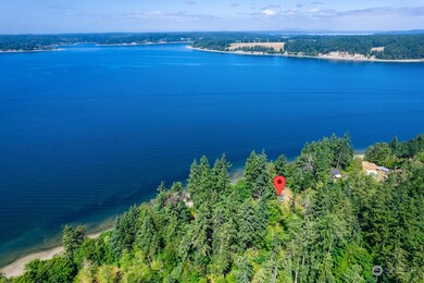 12808 Drayton Rd, Anderson Island, WA 98303 - photo 7