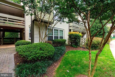 11701 Karbon Hill Ct unit 509A, Reston, VA 20191 - photo 2