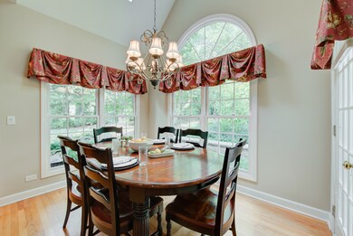 806 Shanahan Ct, Naperville, IL 60540 - photo 7