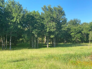 7270 Old Millsap Rd, Millsap, TX 76066 - photo 4