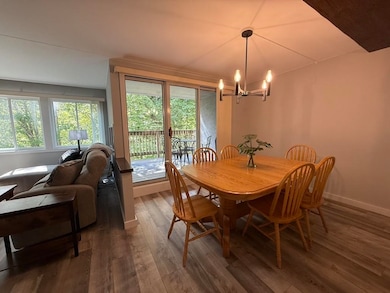 101 Bridges Cir unit 101, Warren, VT 05674 - photo 6