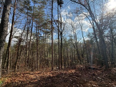 Lot 4 Parksville Rd, Benton, TN 37307 - photo 3