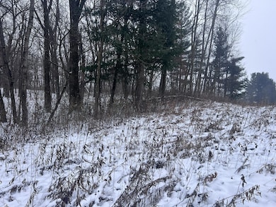 tbd County Line Ave, Black Brook Township, WI 54005 - photo 4