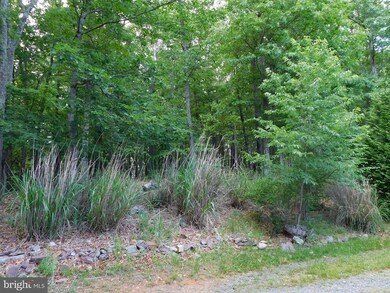 45 Oriole Trail, Franklin, WV 26807 - photo 7