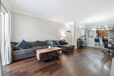 Living room featuring crown molding and dark wood-type flooring