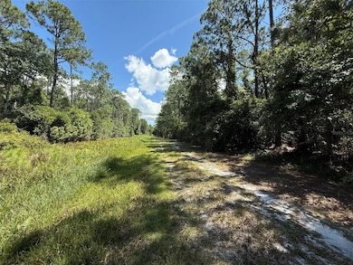 210 2nd St, Georgetown Cove, FL 32139 - photo 2