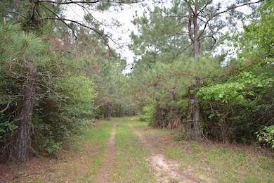 CR460/Cook Rd, Etoile, TX 75944 - photo 5