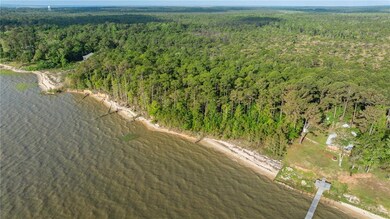 Drone / aerial view with a water view and a wooded