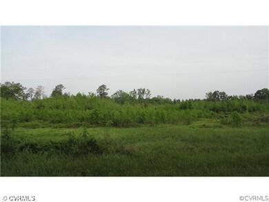 19120 Halligan Park Rd, Carson, VA 23830 - photo 3