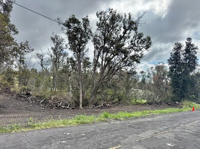 from the middle toward the lower end of Lot 25 Block 80 Paradise Parkway.  There's beautiful old Ohia trees.