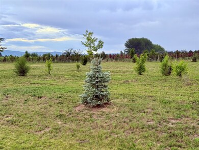 395 Jefferson St, Kalispell, MT 59901 - photo 5