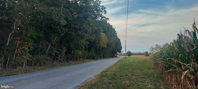 0 00011 04 Lawrence Corner Rd, Pittsgrove, NJ 08318 - photo 2