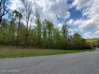 67R Patriots Landing Ln, Falls of Rough, KY 40119 - photo 4