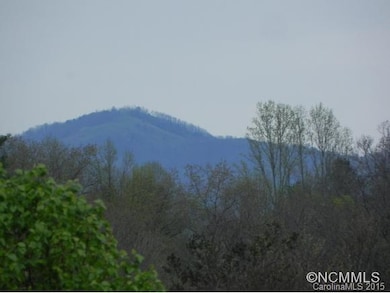 31 N Willow Brook Dr, Asheville, NC 28806 - photo 4