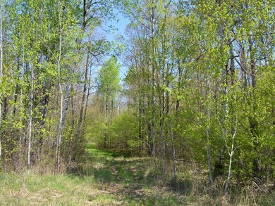 AT Hwy 86, Tomahawk, WI 54487 - photo 2