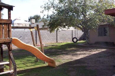 Javelina 010