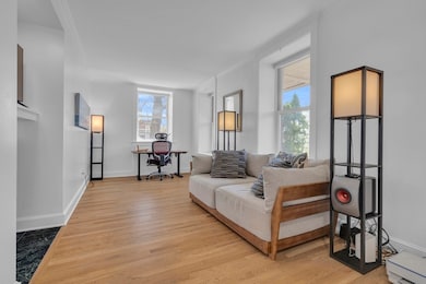 232 Summit Ave unit A1, Brookline, MA 02446 - photo 4