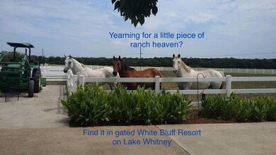 1670 Highland Dr, Whitney, TX 76692 - photo 4