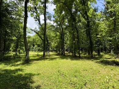 000 Wilderness Way, Anderson West Township, MO 64831 - photo 5