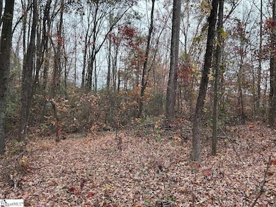 11 Pleasant Grove St, Welcome, SC 29611 - photo 6