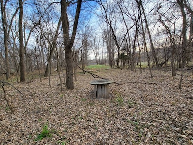 312 Bazille St, Center, NE 68724 - photo 3