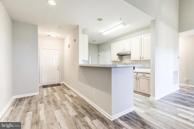 5002 Willow Branch Way unit 304, Owings Mills, MD 21117 - photo 5