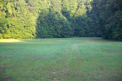 View of grassy yard featuring a forest view