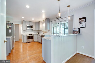 7004 Polins Ct, Alexandria, VA 22306 - photo 7