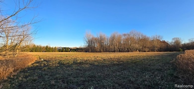 3 Mason Rd, Webberville, MI 48892 - photo 5