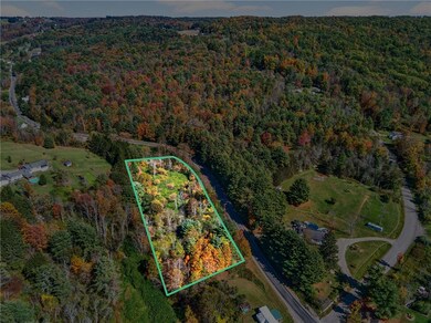 0 Honeypot Rd, Candor, NY 13743 - photo 4