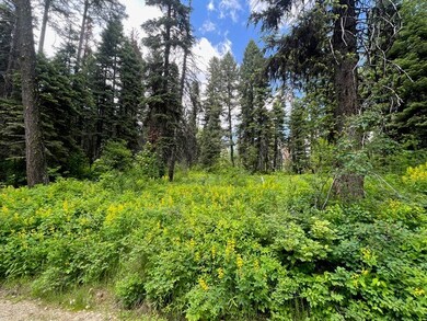 TBD Grouse Trail unit 6A-57, Donnelly, ID 83615 - photo 6