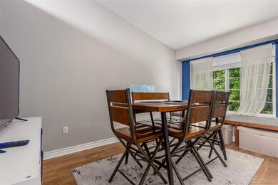 5222 S Jericho St, Centennial, CO 80015 - photo 6