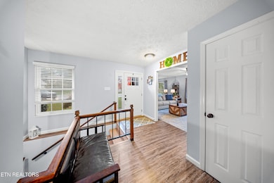 605 Belle Glade Ln, Knoxville, TN 37923 - photo 3