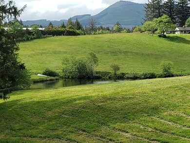 view to the lake