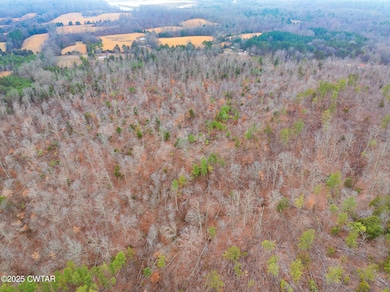 DJI_20250204113204_0043_D