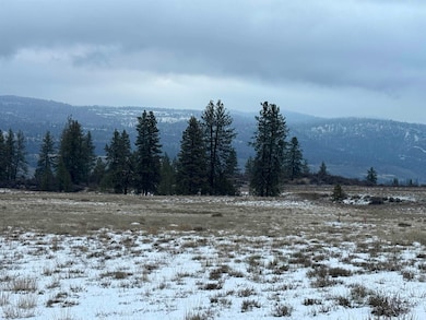 31445 Hume Rd, Davenport, WA 99122 - photo 4