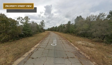 0 Coronado Dr unit 25703078, Chipley, FL 32428 - photo 3