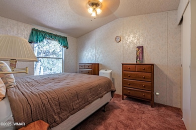 1680 Cactus Flower, Show Low, AZ 85901 - photo 7