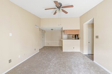 3600 Jeanetta St unit 2704, Houston, TX 77063 - photo 4