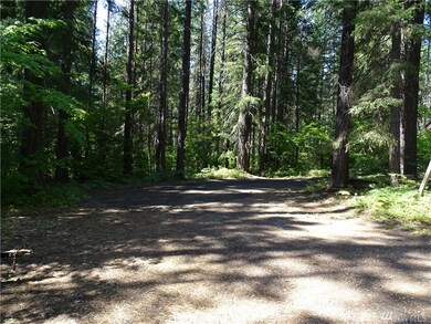 601 Wadsworth Loop, Ronald, WA 98940 - photo 4