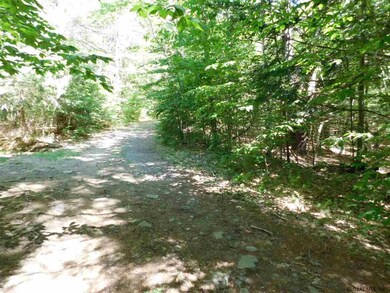 0 Slicker Rd unit Shippee Rd Rear, Day, NY 12822 - photo 6