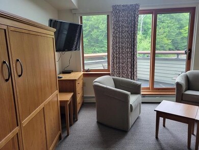 90 Loon Mountain Rd unit 1330C, Lincoln, NH 03251 - photo 5