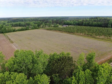 Overview of rural landscape featuring a heavily wo