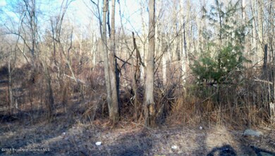 0 Yostville Rd, Covington Township, PA 18444 - photo 2