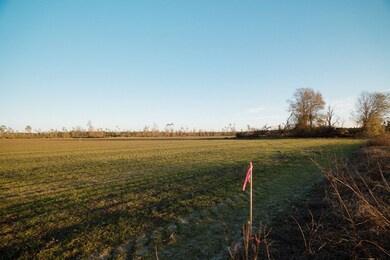 00 Chesapeak Rd, Alma, GA 31510 - photo 6