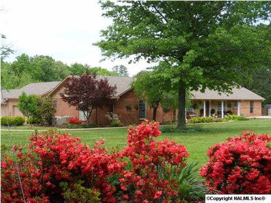 When Azaleas are in full bloom!